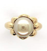 18k Yellow Gold 9.8mm Light Golden South Seas Pearl Ring Size 8.25 (#J6338)