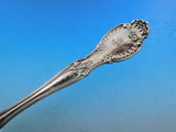 Richelieu By Tiffany and Co. Sterling Silver Ice Spoon Original 9 1/4" Server