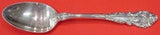 Sir Christopher by Wallace Sterling Silver Serving Spoon 8 1/2" Silverware