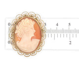 Gold Filled Genuine Natural Shell Cameo Brooch Pin Jewelry (#J7533)