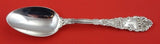 Renaissance by Dominick and Haff Sterling Dinner Spoon 8 3/8"