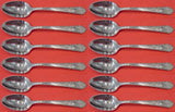 Mary II by Lunt Sterling Silver Demitasse Spoon Set of 12 pcs 4 1/4"