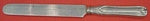 Palm by Tiffany and Co Sterling Silver Regular Knife Blunt 9 1/4" Flatware