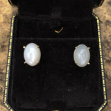14k White Gold Large Oval Genuine Natural Moonstone Stud Earrings 11.20ct #J7382