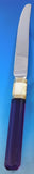 Prisma Amethyst Stainless Steel Dinner Knife 9 3/4"