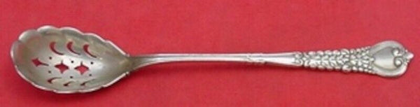 Florentine by Tiffany and Co Sterling Silver Olive Spoon Pierced Original 6 1/2"
