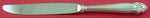Canterbury Bell by Lunt Sterling Silver Regular Knife 9" Modern Blade