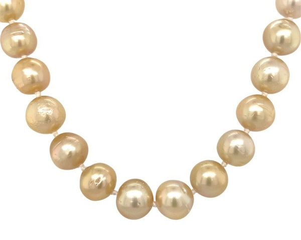 14k Yellow Gold Golden South Sea Pearl 9-10mm Strand Necklace 18.5" (#J7031)