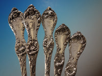 Les Cinq Fleurs by Reed and Barton Sterling Silver Flatware Set Service 60 pcs