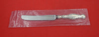 Louis XV by Whiting-Gorham Sterling Dinner Knife old french rare 9 5/8" New