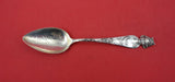 Sunny South by Shiebler Sterling Teaspoon "Jacksonville FL"  5 1/2"