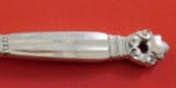 Acorn by Georg Jensen Sterling Silver Relish Fork 3-Tine HH w/ Stainless 6 3/4"