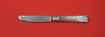 Champagne by Orla Vagn Mogensen Sterling Silver Luncheon Knife long 7 1/2"