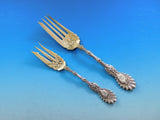 Radiant by Whiting Sterling Silver Flatware Set Dinner Service w/ Vintage Chest