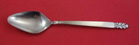 Norse Stainless by International Stainless Serving Spoon 8 7/8"