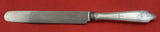 Clinton Engraved by Tiffany and Co Sterling Silver Regular Knife Blunt 9 1/4"