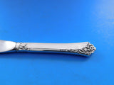 Damask Rose by Oneida Sterling Silver Butter Spreader HH paddle Set 12pcs 6 1/4"