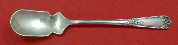 Splendor by International Sterling Silver Horseradish Scoop Custom Made 5 3/4"