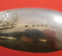 Bacchanalian English Sterling Silver Berry Spoon Ovoid w/ Fruit London 1872 9"