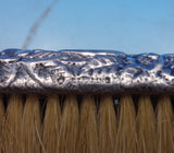 Davis and Galt Sterling Silver Shoe Brush 4 1/2" x 2" (#8906)