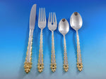 Golden La Strada by International Sterling Silver Flatware Service Set 60 pieces