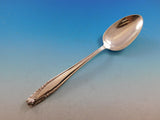 Stradivari by Wallace Sterling Silver Flatware Set for 12 Service 74 Pcs Dinner