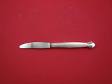 Bittersweet by Georg Jensen Sterling Silver Regular Knife Long Handle 8 1/8"