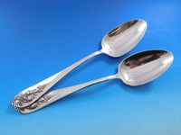 Pendant of Fruit by Lunt Sterling Silver Flatware Set for 12 Service 84 pieces