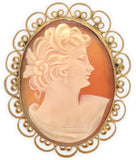 Gold Filled Genuine Natural Shell Cameo Brooch Pin Jewelry (#J7533)