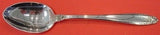 Prelude by International Sterling Silver Teaspoon 6"