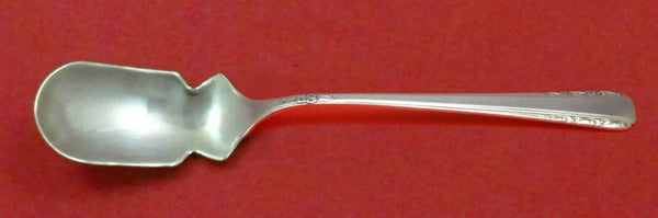 Courtship by International Sterling Silver Horseradish Scoop Custom Made 5 3/4"