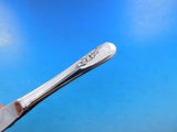 Blossom Time by International Sterling Silver Butter Spreader HH Paddle Set 12