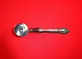 Malvern by Lunt Sterling Silver Coffee Scoop HH Custom Made 6"