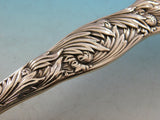 Chrysanthemum by Tiffany and Co Sterling Silver Soup Ladle Orig 12 1/2" Serving
