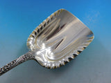 Antique Engraved by Tiffany and Co Sterling Silver Cracker Scoop 9 1/4"