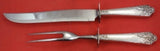 Ecstasy by Amston Sterling Silver Roast Carving Set 2pc HH with Stainless