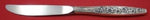 Meadow Song By Towle Sterling Silver Regular Knife Modern 9 1/8"