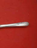 Blossom Time by International Sterling Silver Wedding Cake Knife XL Original 16"
