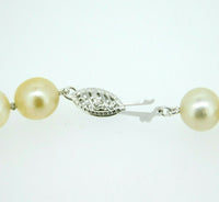 8.5-10mm Tahitian South Sea Multi Color Pearl Necklace (#J4414)