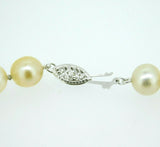 8.5-10mm Tahitian South Sea Multi Color Pearl Necklace (#J4414)
