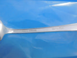 Spring Glory by International Sterling Silver Pate Knife Custom Made 6"