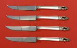 Sovereign Hispana by Gorham Sterling Silver Steak Knife Set 4pc HHWS Custom