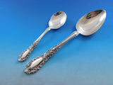 Prince Eugene by Alvin Sterling Silver Flatware Set for 12 Service 76 pcs Dinner