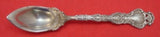 Regent by Durgin Sterling Silver Grapefruit Spoon 6"