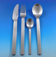 Neo Country by Carl Mertens Stainless Steel Flatware set 24 pcs w/ Caddy Modern