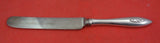 Buckingham Narrow by Shreve Sterling Silver Regular Knife Blunt "C"  8 3/4"