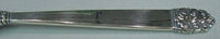 Northern Lights by International Sterling Silver Sugar Spoon 6"