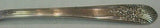 Orleans by International / Century Sterling Silver Teaspoon 6"