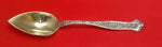 Dresden by Whiting Sterling Silver Grapefruit Spoon Custom Made  5 3/4"