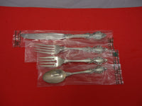 Lasting Grace by Lunt Sterling Silver Regular Size Place Setting(s) 4pc New